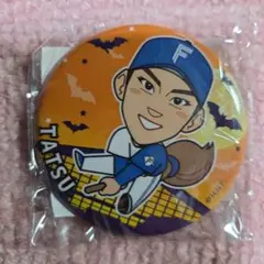 日本ハムファイターズ　逹孝太