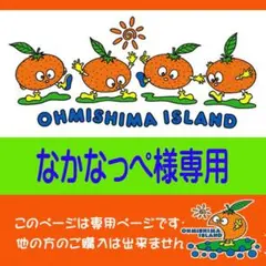【なかなっぺ様専用】新甘夏5Kg