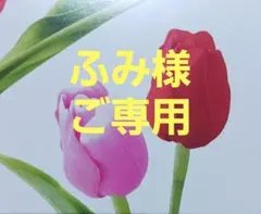 東京ディズニーリゾート　ズートピア ニック マフラーキャップ