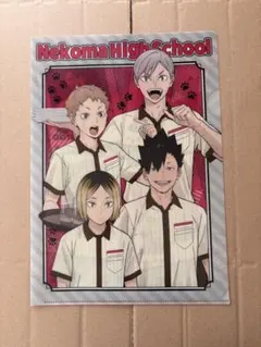 ハイキュー!! COCO'Sコラボ 音駒高校 クリアファイル