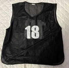 Item thumbnail for item 27b5c396-2ae3-4641-9661-dbee24b5192c