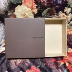 LOUIS VUITTON ボックス 約17cm