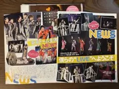 NEWS 切り抜き 約390g (大)