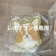 レオマリン様専用ページ