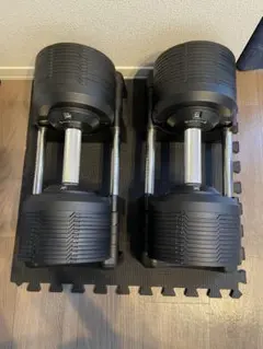 2025年最新】プロバーベル ダンベルの人気アイテム - メルカリ