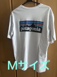 patagonia ホワイト Tシャツ　Ｍ