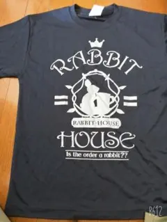 Item thumbnail for item 68e87827-beee-4f09-ac60-b070d8ed9426