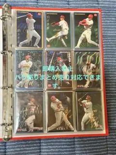 プロ野球チップス広島カープスターサインカードバラ売り.まとめ売り対応