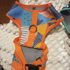 Item thumbnail for item ab5dc8e6-9b60-4765-a82e-a5ab7fff2c25