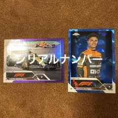 Item thumbnail for item 2486e4c1-a6b7-431c-9931-f2bbc097ec91