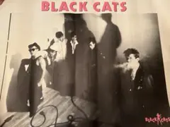 2026年最新】ブラックキャッツ ポスターの人気アイテム - メルカリ