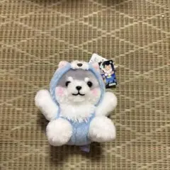 2026年最新】豆しば三兄弟 ぬいぐるみ bigの人気アイテム - メルカリ