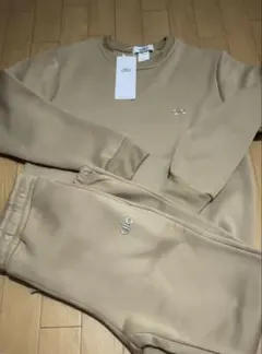 Item thumbnail for item 67ed954f-2ba1-4db8-8003-c8483ec23580