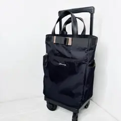 ⭐️極美品⭐️ SWANY ルバンド TS18 4輪 キャリーバッグ ブラック