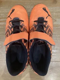 Item thumbnail for item 8e010f45-7085-4e43-bd07-035713618bae