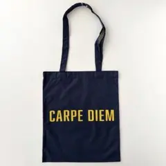 布製　薄手　トートバッグ　エコバッグ　サブバッグ　ロゴ　新品