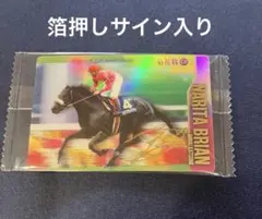 サラブレッドホースコレクション ナリタブライアン 菊花賞　箔押しサイン入り