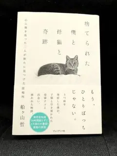捨てられた僕と母猫と奇跡 : 心に傷を負った二人が新たに見つけた居場所