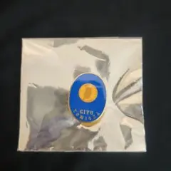 2026年最新】柱百景 コレクションピンズの人気アイテム - メルカリ