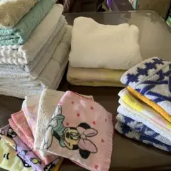 Item thumbnail for item 88e56502-7ca0-48de-8e05-c53f5e0fa646