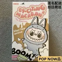 【未開封品】EXCITING MACARON ラブブ ライチベリー マカロン