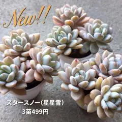 ayakon様 リクエスト 3点 まとめ商品