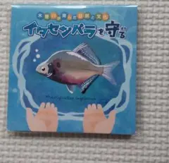 イタセンパラ 付箋