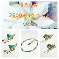 8月恒例‼️2500円3点セット‼️S26240