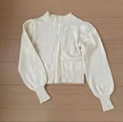 ウール混ハイネックパフニット クロップド丈 ショート丈 カスタネ kastane