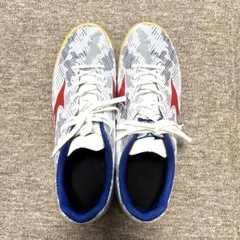 ミズノ/モナルシーダ ネオ サラ クラブイン/フットサルシューズ/インドアコート