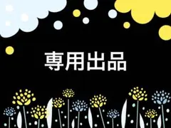 専用出品