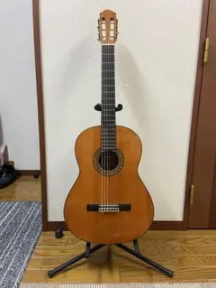 Aria ADF-CST オール単板 Fishman搭載 純正ハードケース付き Aria ADF-CST オール単板 Fishman搭載 純正ハードケース付き