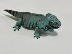 いきもの大図鑑レプティ　イグアナ(ブルー)