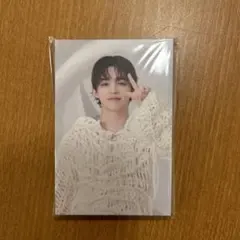 SEVENTEEN アコーディオン