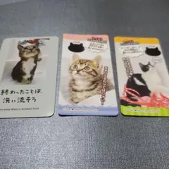 Item thumbnail for item 631f5e7b-49f4-4a69-a2c9-f0f90d38b916