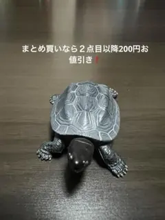 ユージン　原色図鑑シリーズ７　原色爬虫類カメ目図鑑 クサガメ(黒色)のサムネイル