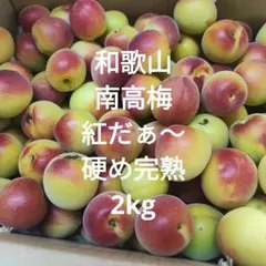 木熟‼️和歌山県産 完熟南高梅 超大玉‼️4Lサイズ 2kg みかんキング