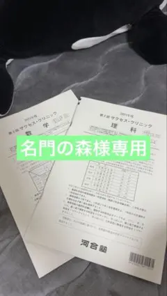 2026年最新】河合塾 サクセスクリニックの人気アイテム - メルカリ