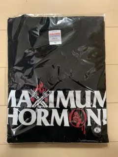 【新品】マキシマムザホルモン 普通絵図生還者 edition L 新品未使用】マキシマムザホルモン 普通絵図生還者 edition L - メルカリ
