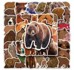 クマ ステッカー デザイン ステッカーセット シール 熊 くま 動物 おもちゃ