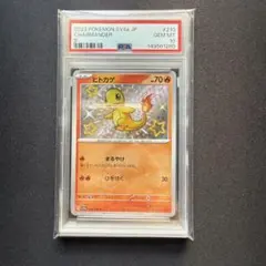 2026年最新】ヒトカゲ psa10の人気アイテム - メルカリ