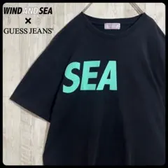 【美品】ウィンダンシー　ゲスジーンズ　コラボ　ティファニー　Tシャツ　XLのサムネイル