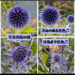 Remi様 リクエスト 2点 まとめ商品