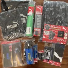 Item thumbnail for item 3e13c690-c4d4-47d8-a9bf-5f90ea4ff313