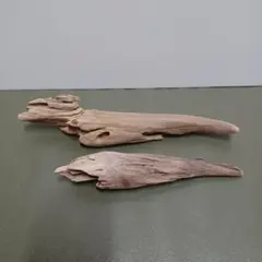 流木2点セット 自然な形状