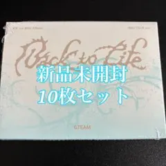 &TEAM Back to Life 10枚 mini CD 本体 新品未開封