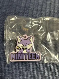 SEVENTEEN ミニティーン ガチャ めじるしアクセサリー ウォヌ