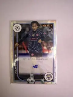 2026年最新】MERLIN toppsの人気アイテム - メルカリ