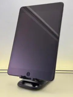 Apple iPad mini 5 256GB スペースグレー 本体