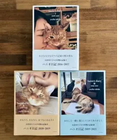 ハニオ日記 1 2 3巻セット 石田ゆり子